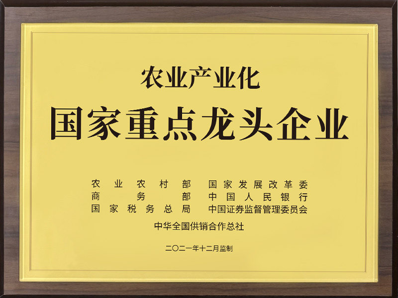 國家重點(diǎn)龍頭企業(yè)2021年